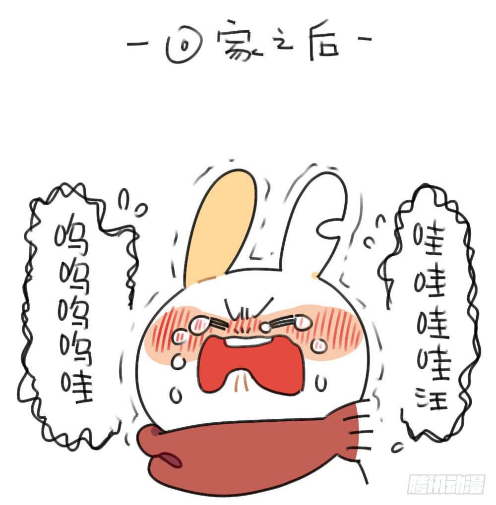 50、芋圆什么的，对于一只很酷的15
