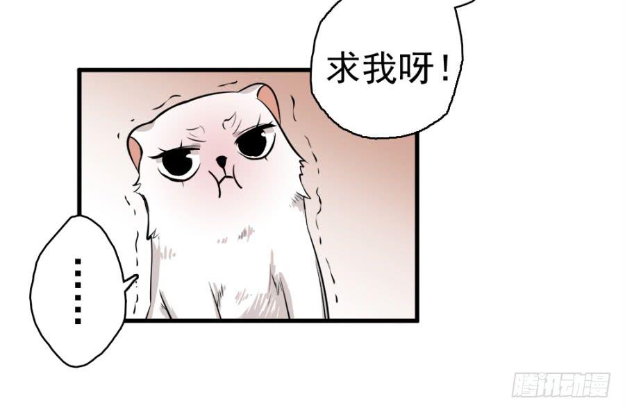 第19话·重返虎狼之地13