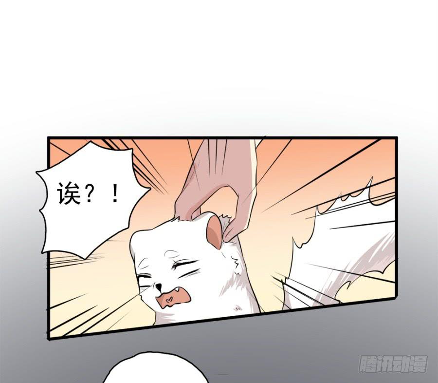 第19话·重返虎狼之地4