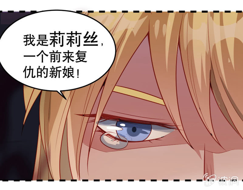 复仇的新娘17