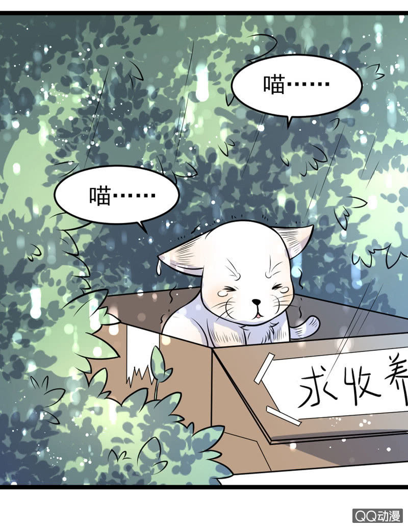 与你的偶遇18