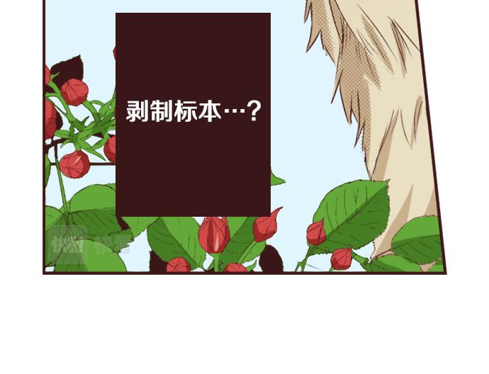 第40话 黑骑士94