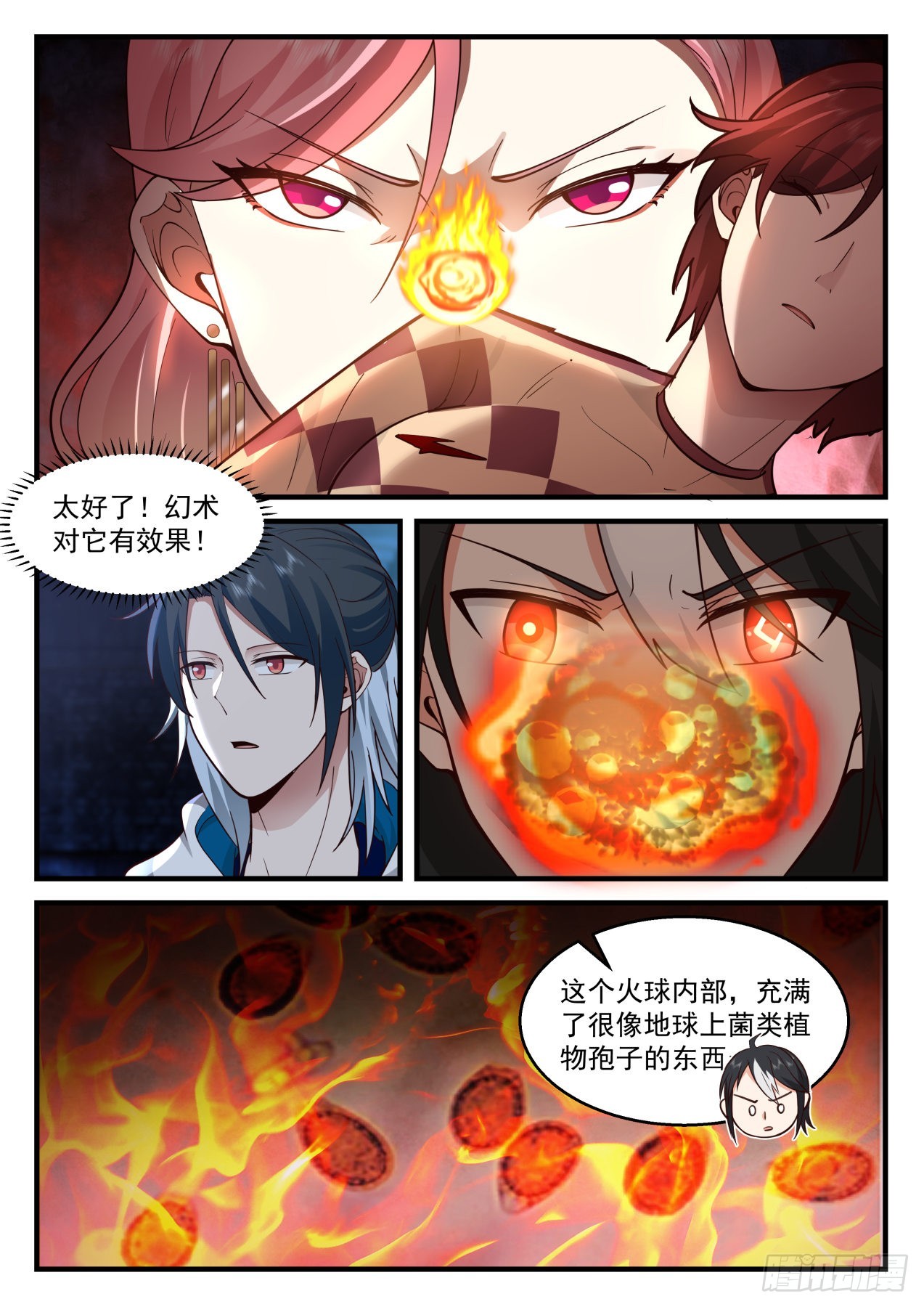 孢子7
