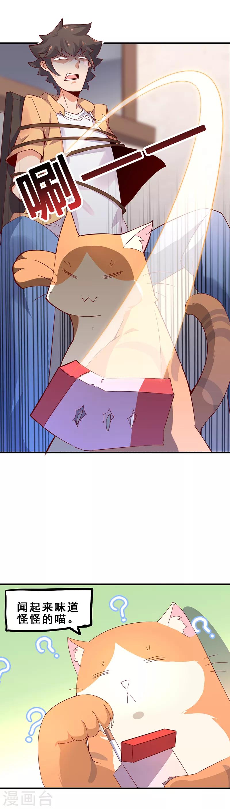 第2话 不养猫就会死5