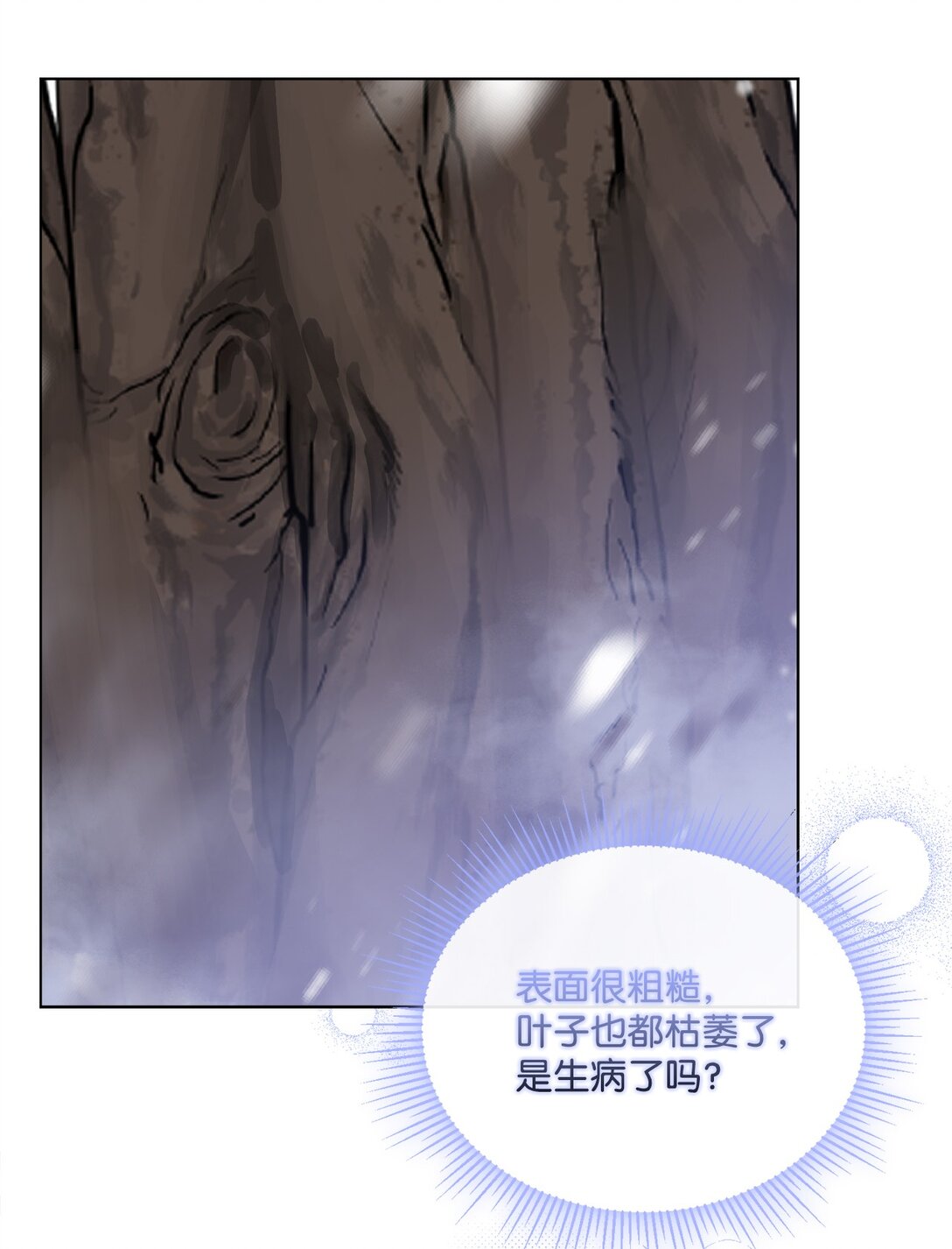 55 雪木的领域55