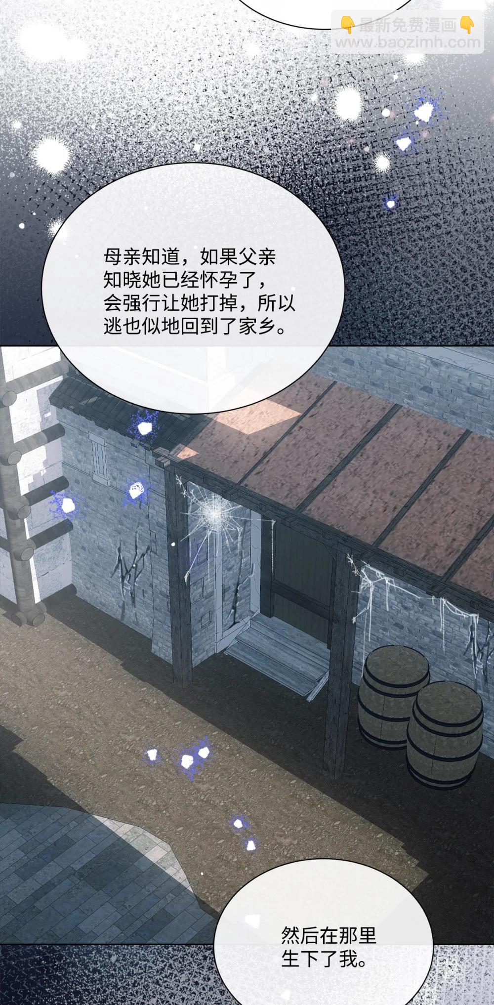 72 佣兵团的过往23
