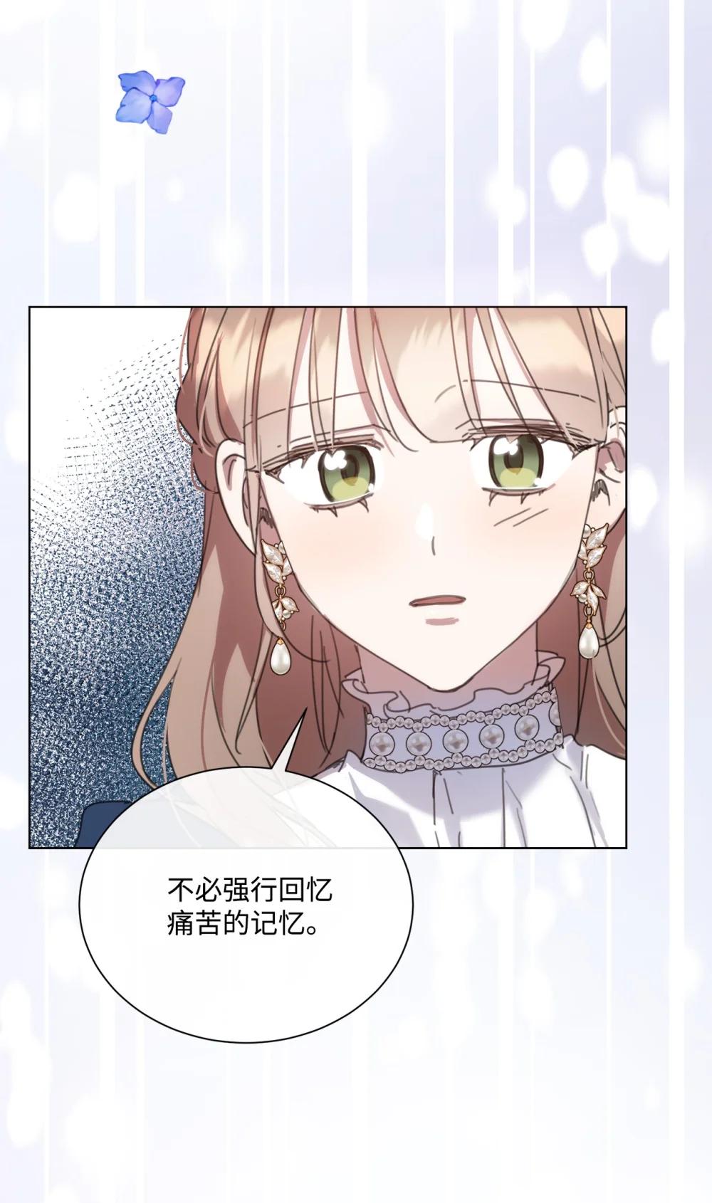 72 佣兵团的过往58
