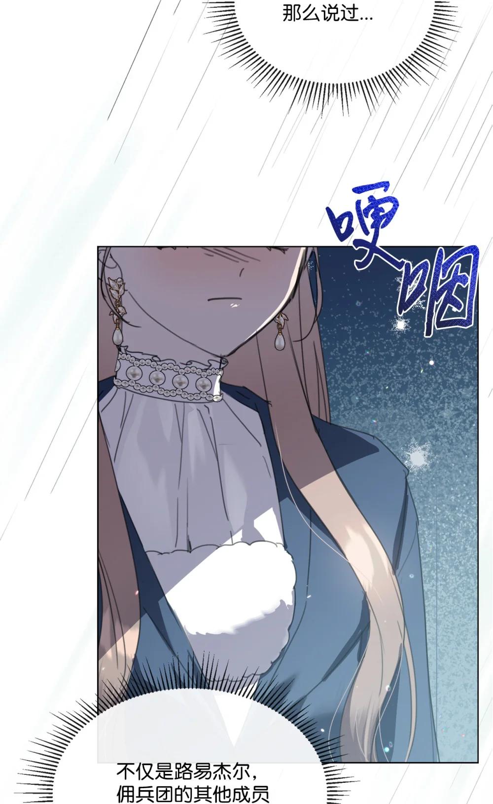72 佣兵团的过往63