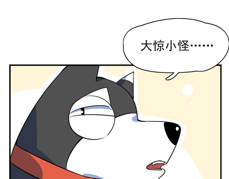 第40话 军犬往事14