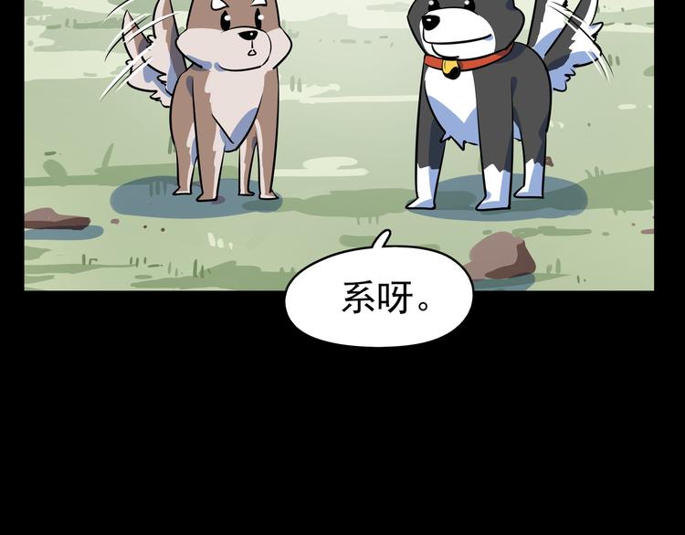第40话 军犬往事66