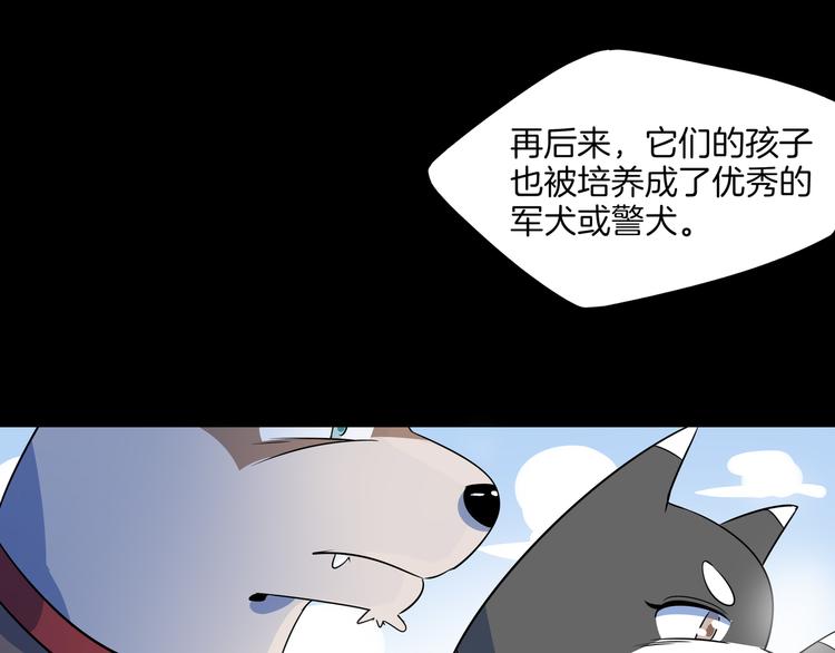 第43话 责任的背后是荣耀56