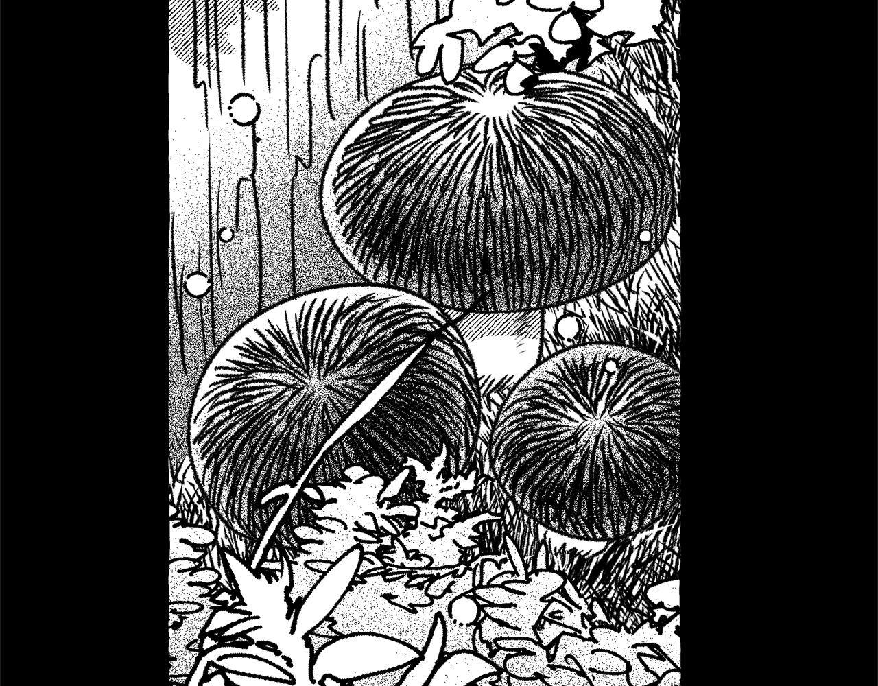第64话 被恶魔骗了54