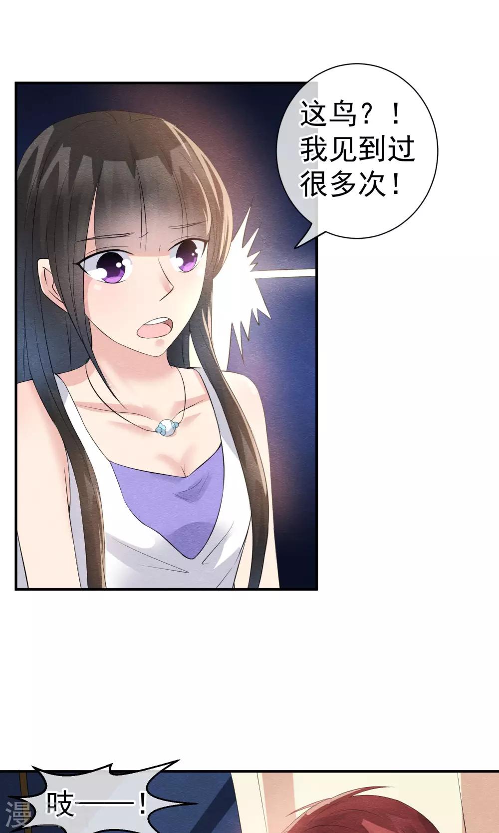 第25话 突击的蓝色飞鸟22