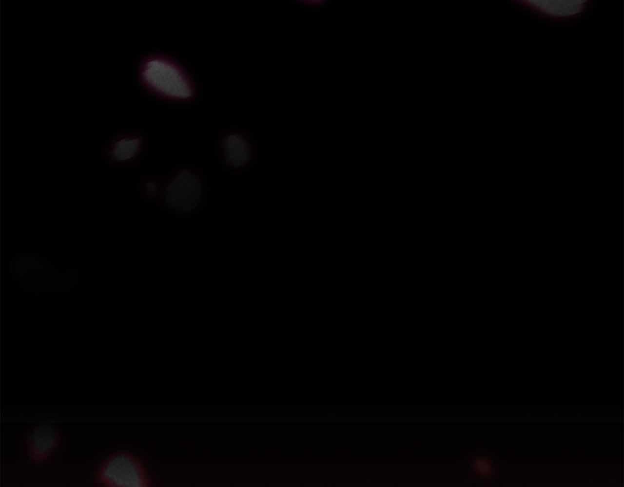 第二季完结篇 清算一切17