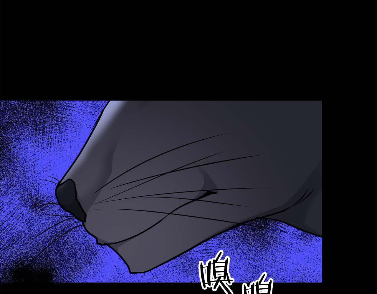 第66话 我相信你81