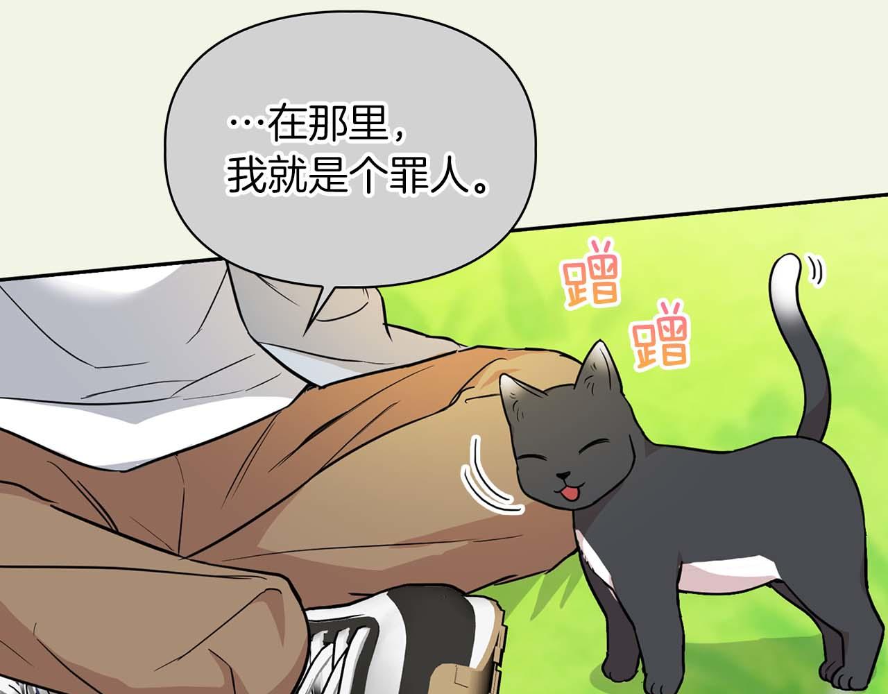 完结篇 服从与从属14