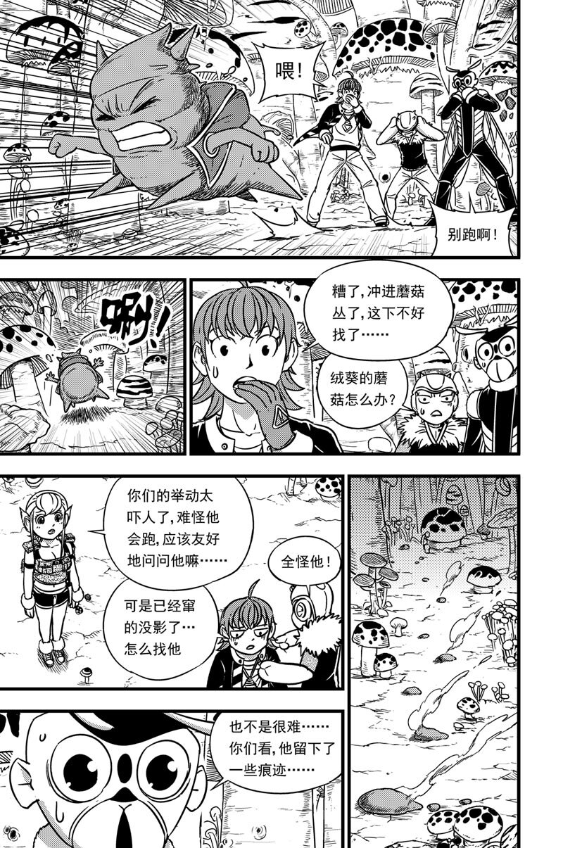 053 灵贝11