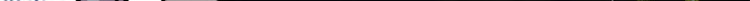 05 第一战，荆棘妖54