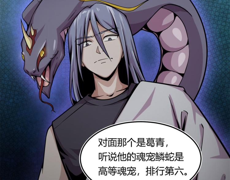 07 十足蜈蚣29