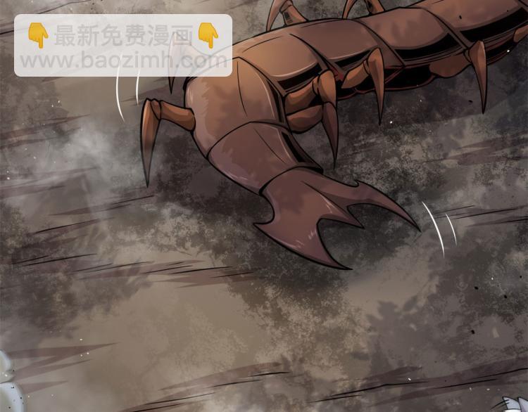 07 十足蜈蚣54