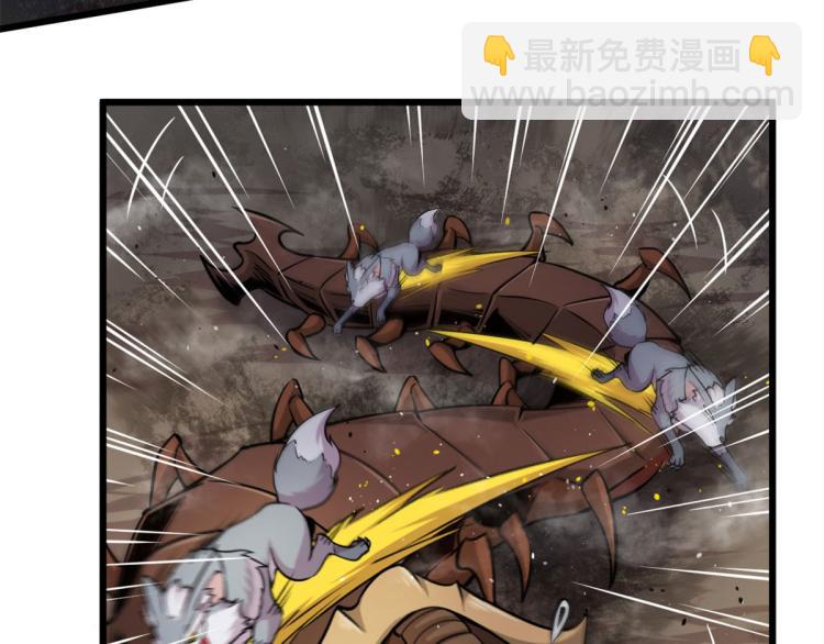 07 十足蜈蚣56