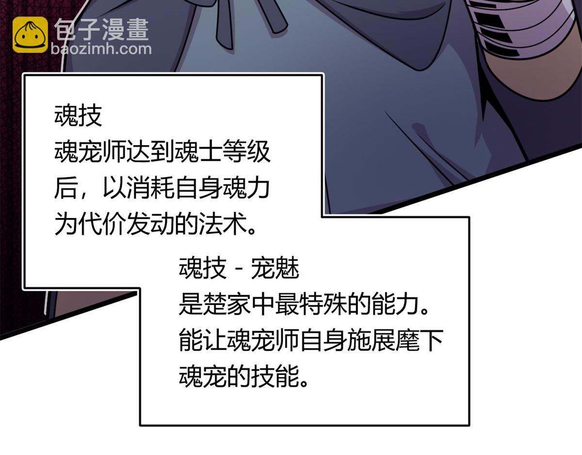 10 魂技—宠魅74