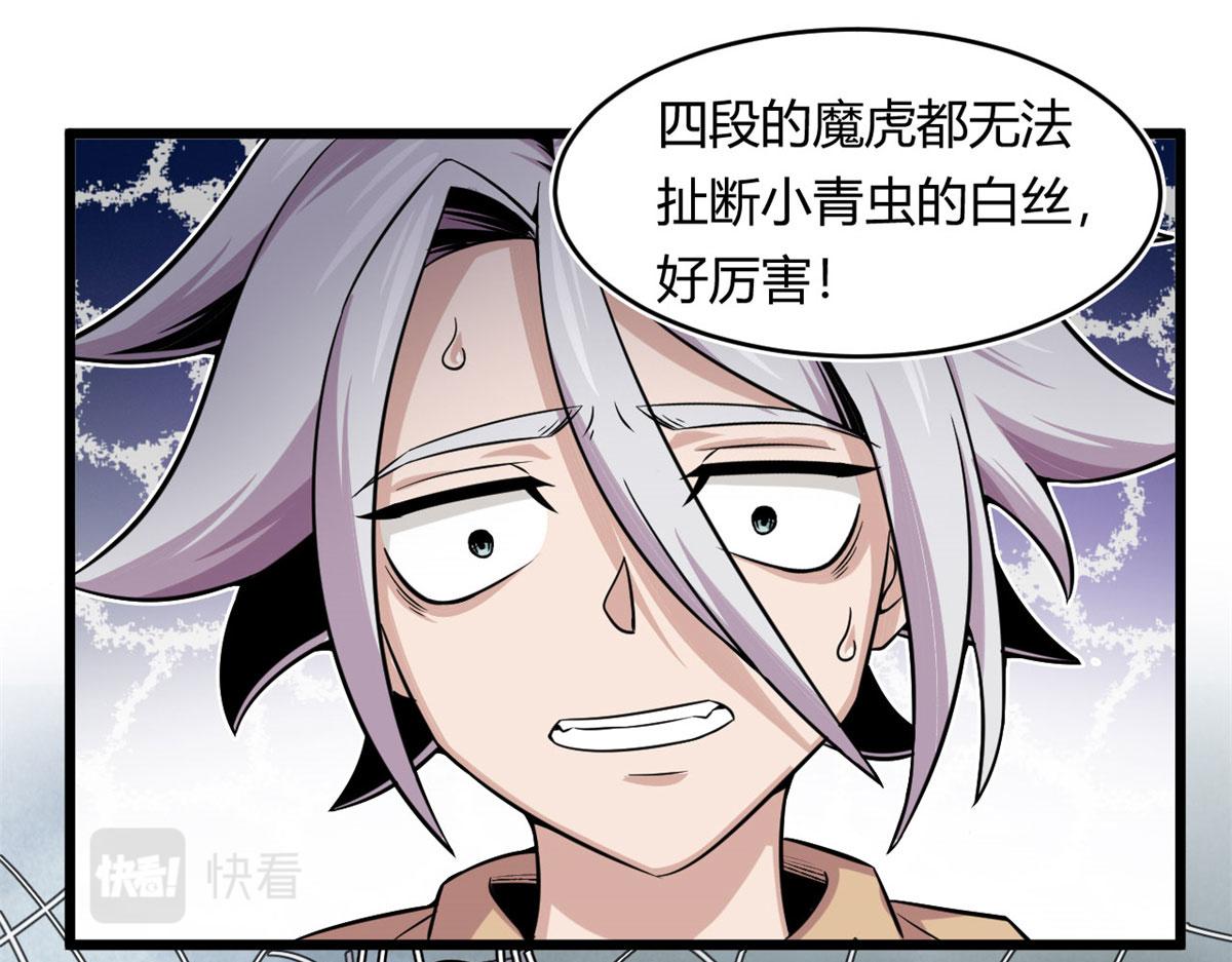 29	小青虫化蛹29