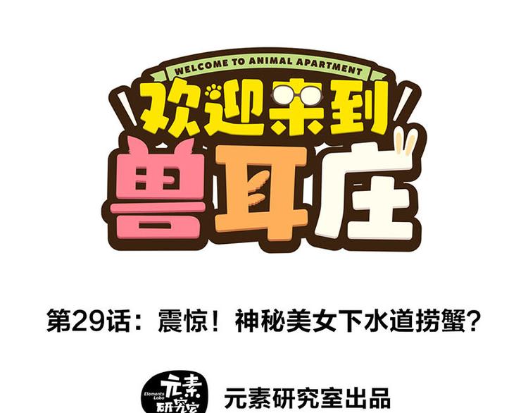 第29话 美女下水道捞蟹！0