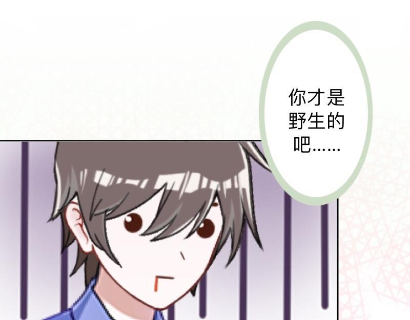 第11话 捕捉一只野生女神！72