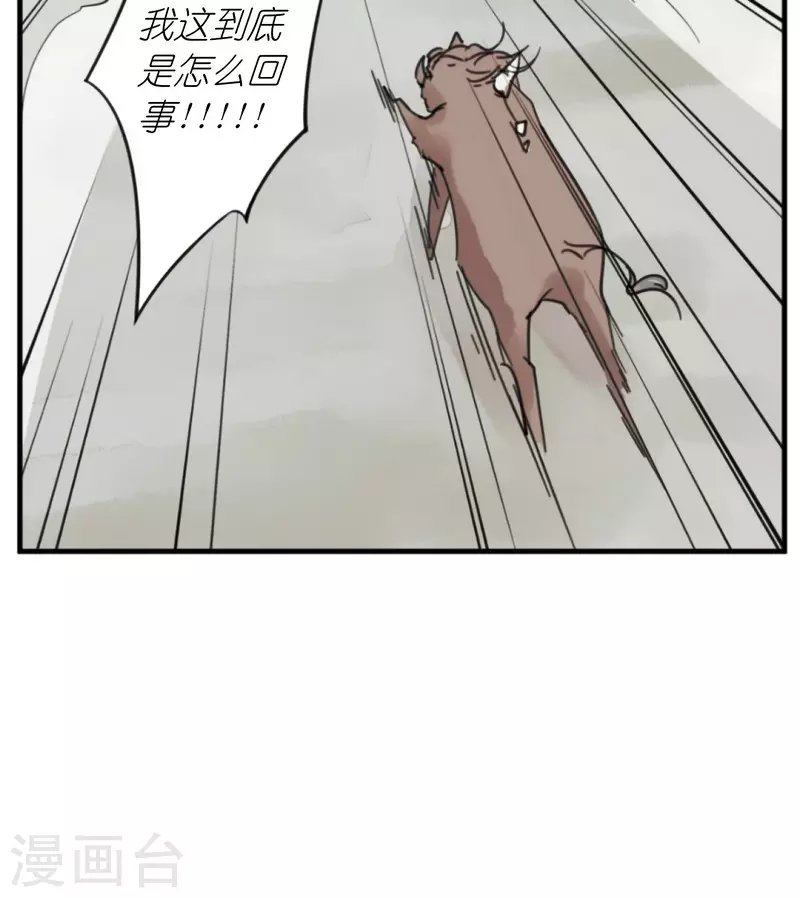 第1话 我叫王希8