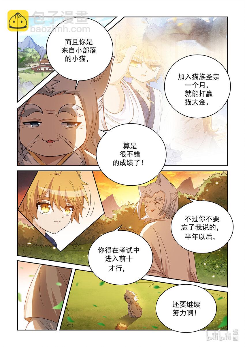 第028话 猫元师兄？5