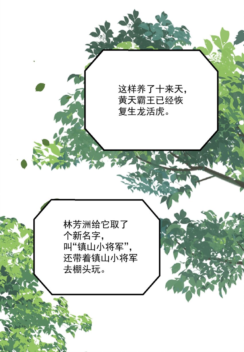 025 想要？自己来取18