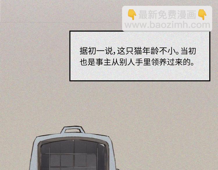 第20话-猫妖篇：怪事由来2