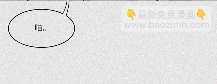 第20话-猫妖篇：怪事由来33