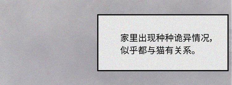 第20话-猫妖篇：怪事由来39