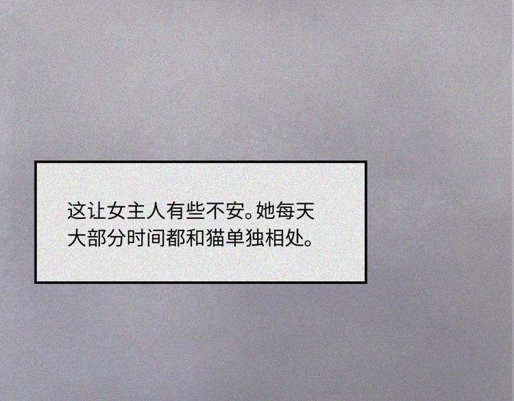 第20话-猫妖篇：怪事由来40