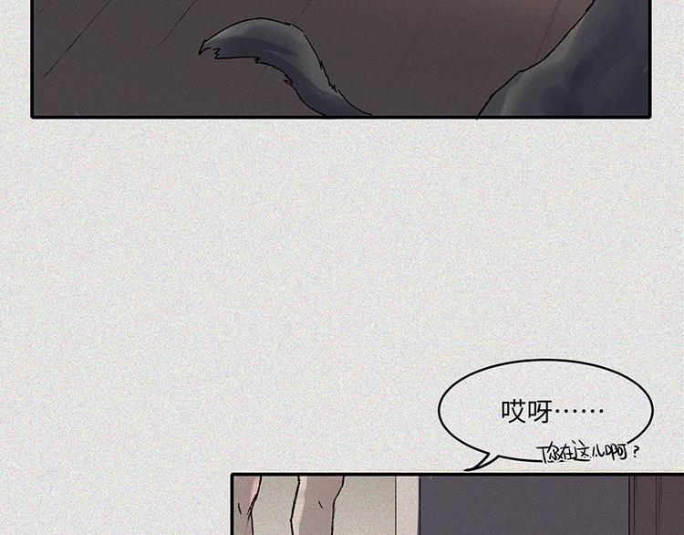 第20话-猫妖篇：怪事由来55
