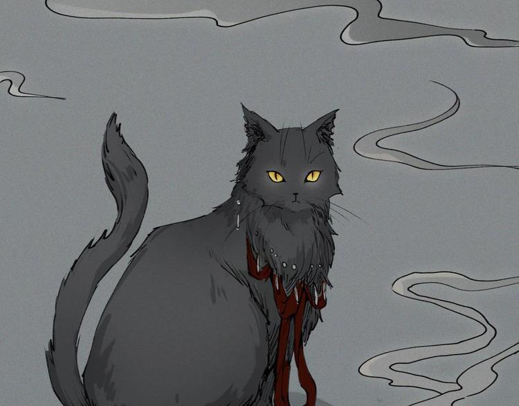 第21话-猫妖篇：猫的修行12