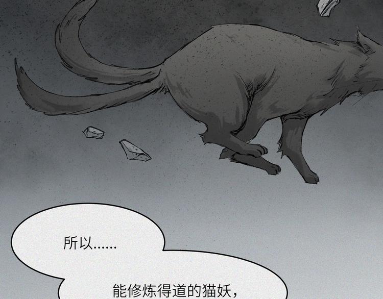 第21话-猫妖篇：猫的修行25
