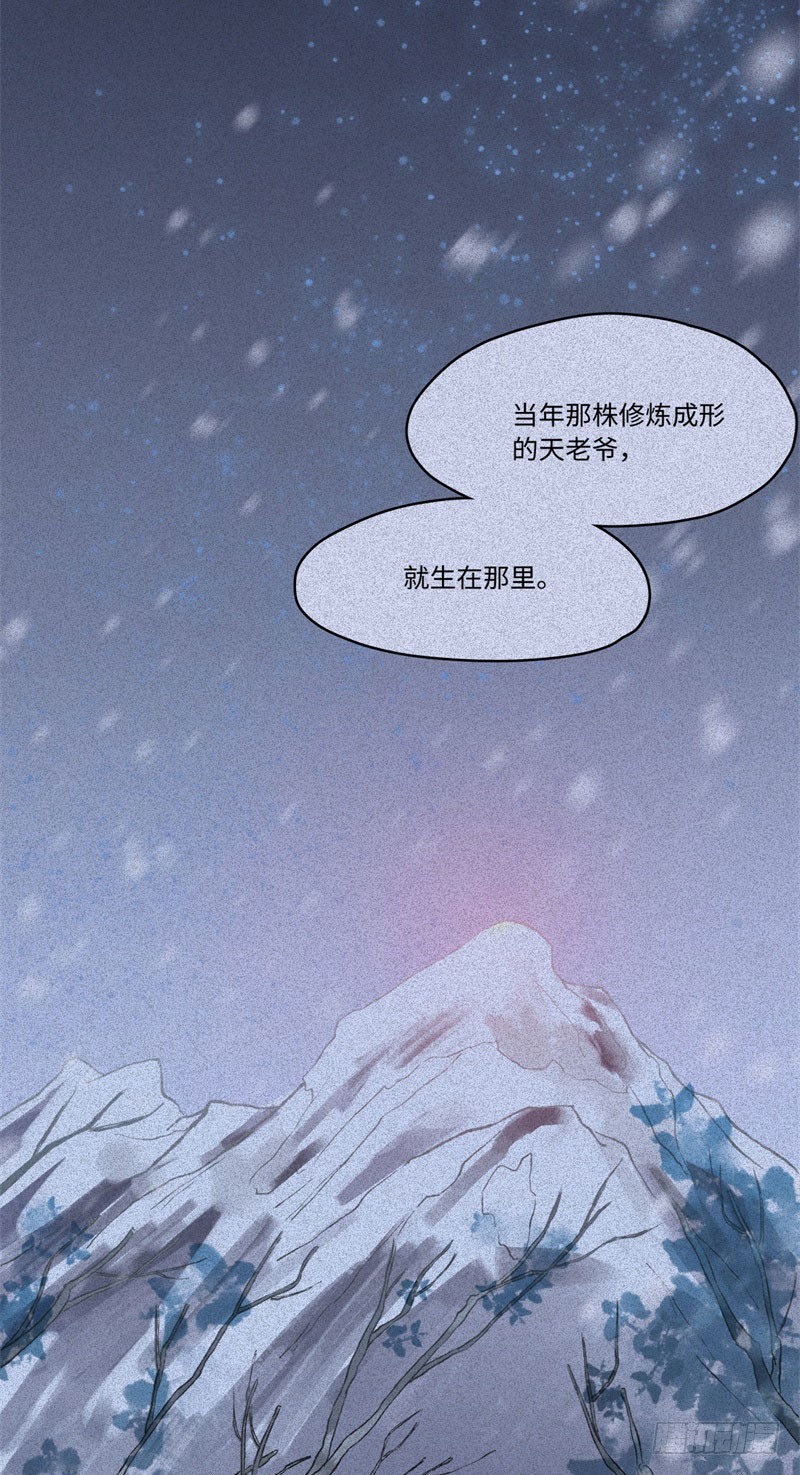 第48话-妖影篇：村外秘洞14