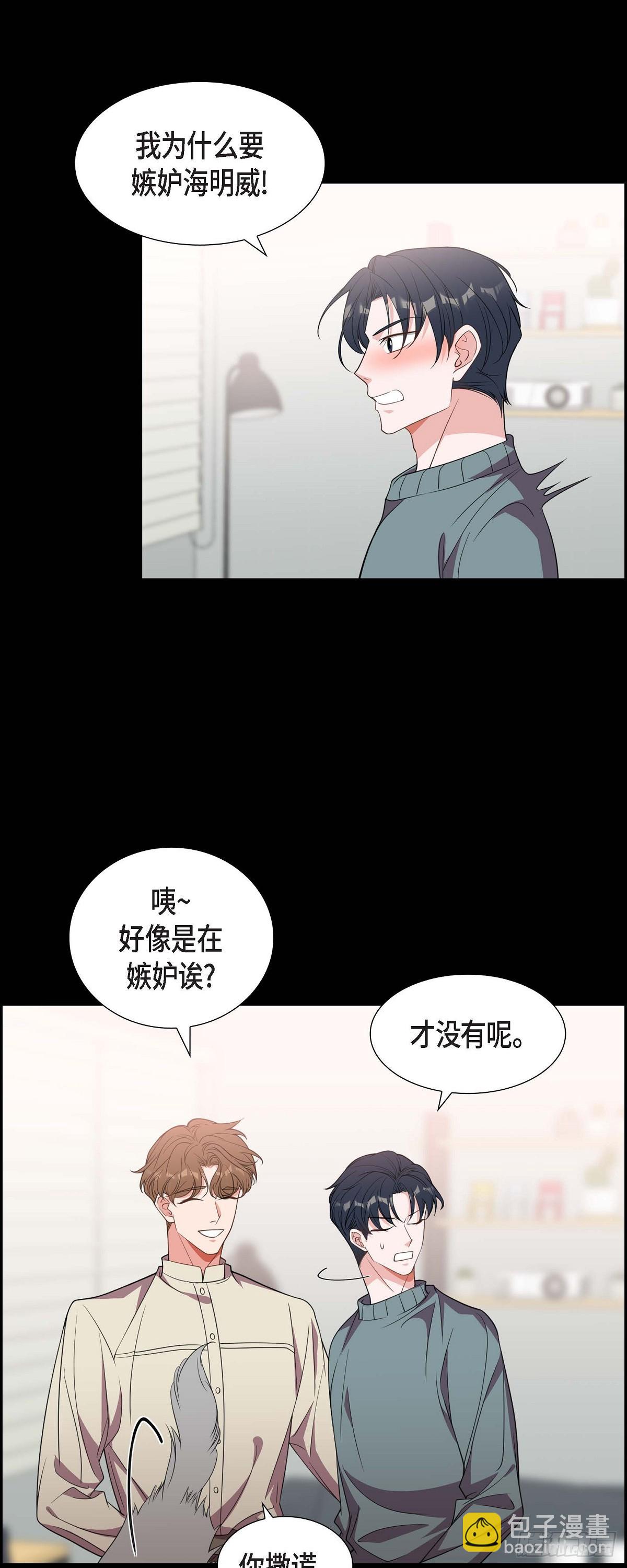 015.小猫咪17