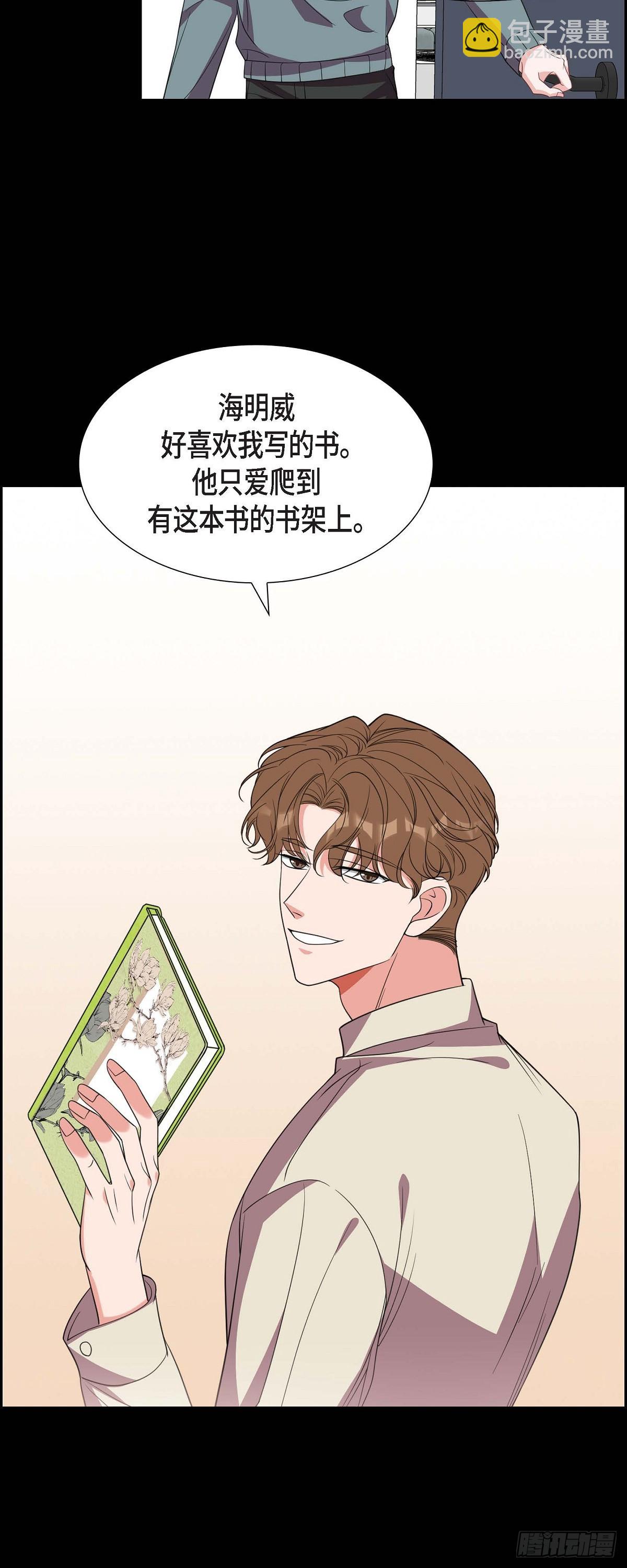 015.小猫咪5