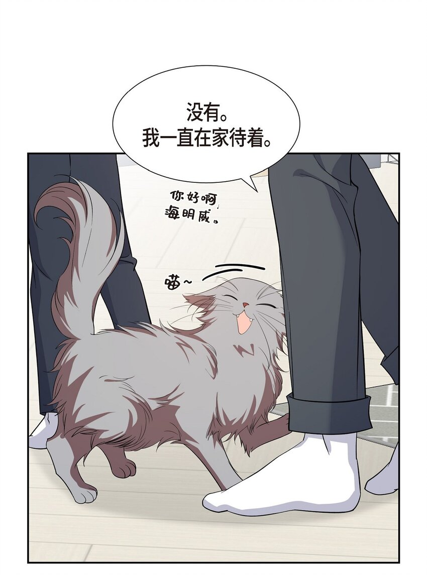 39 别故意转移话题47