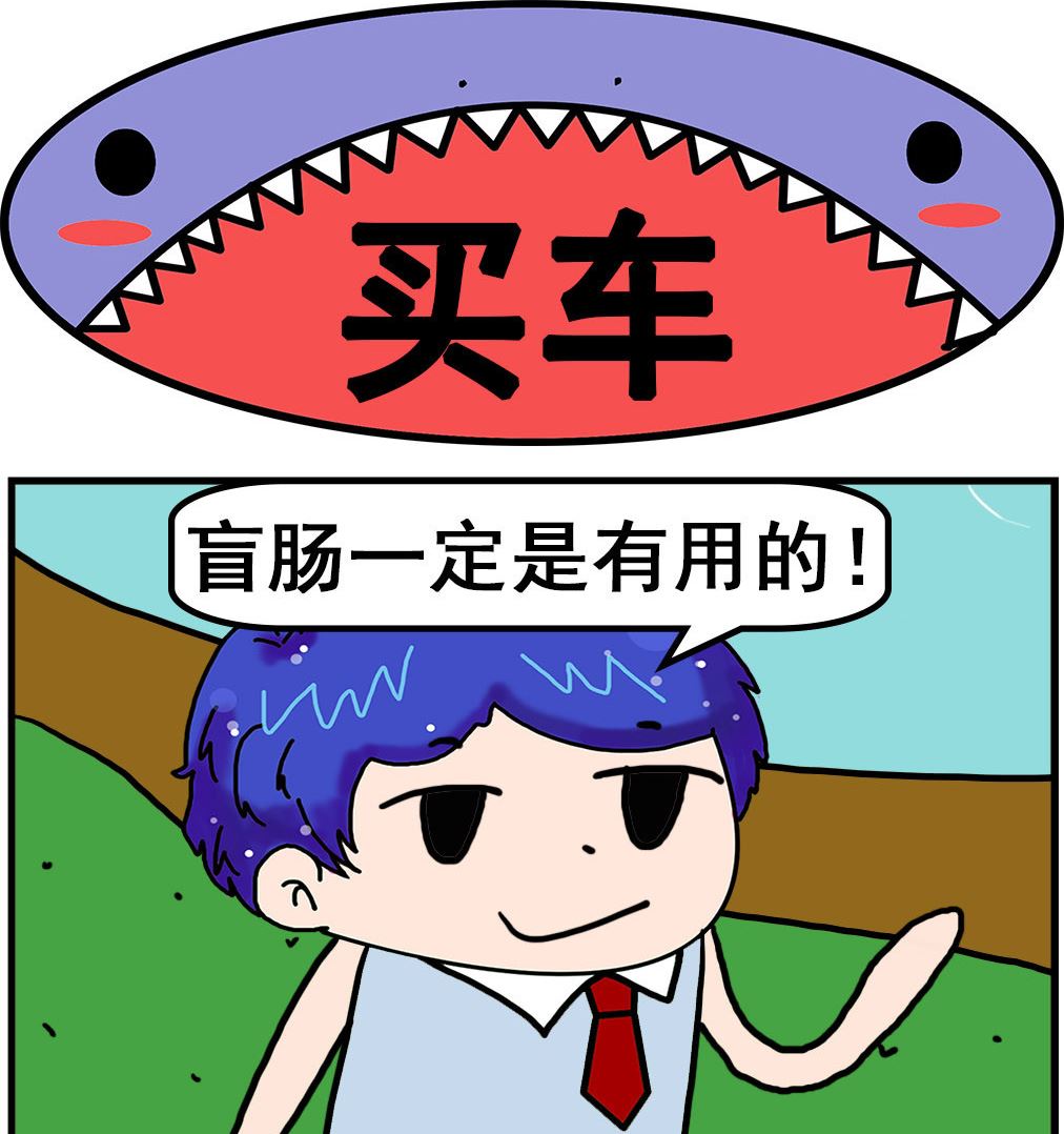 第048话 买车0