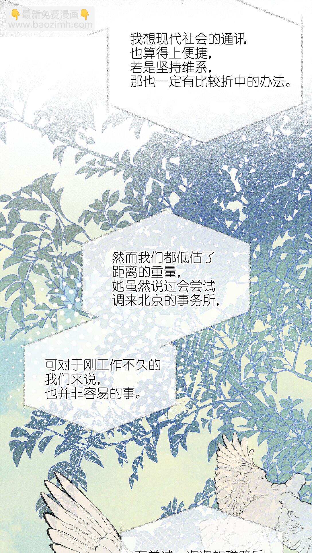 64 玫瑰23