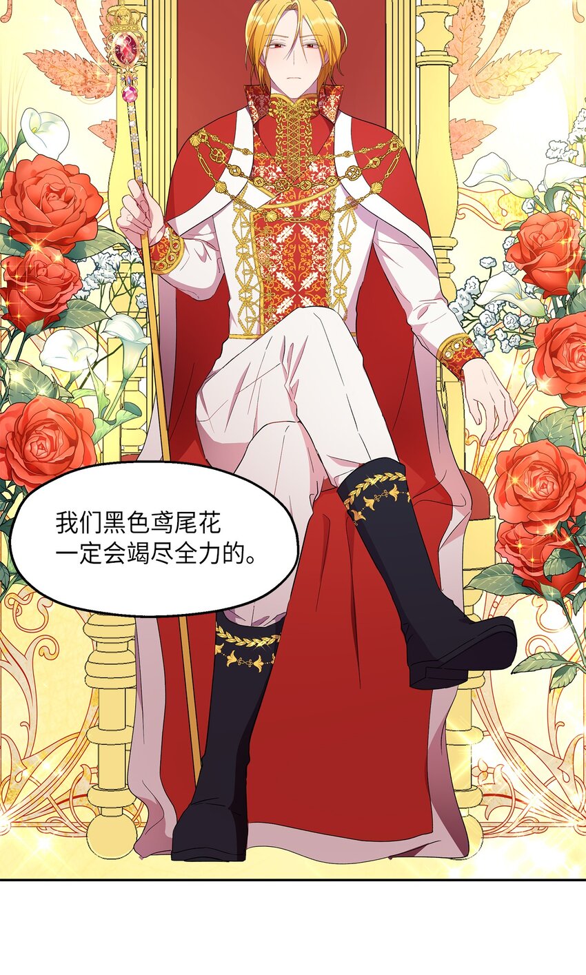 10 黑色鸢尾花12
