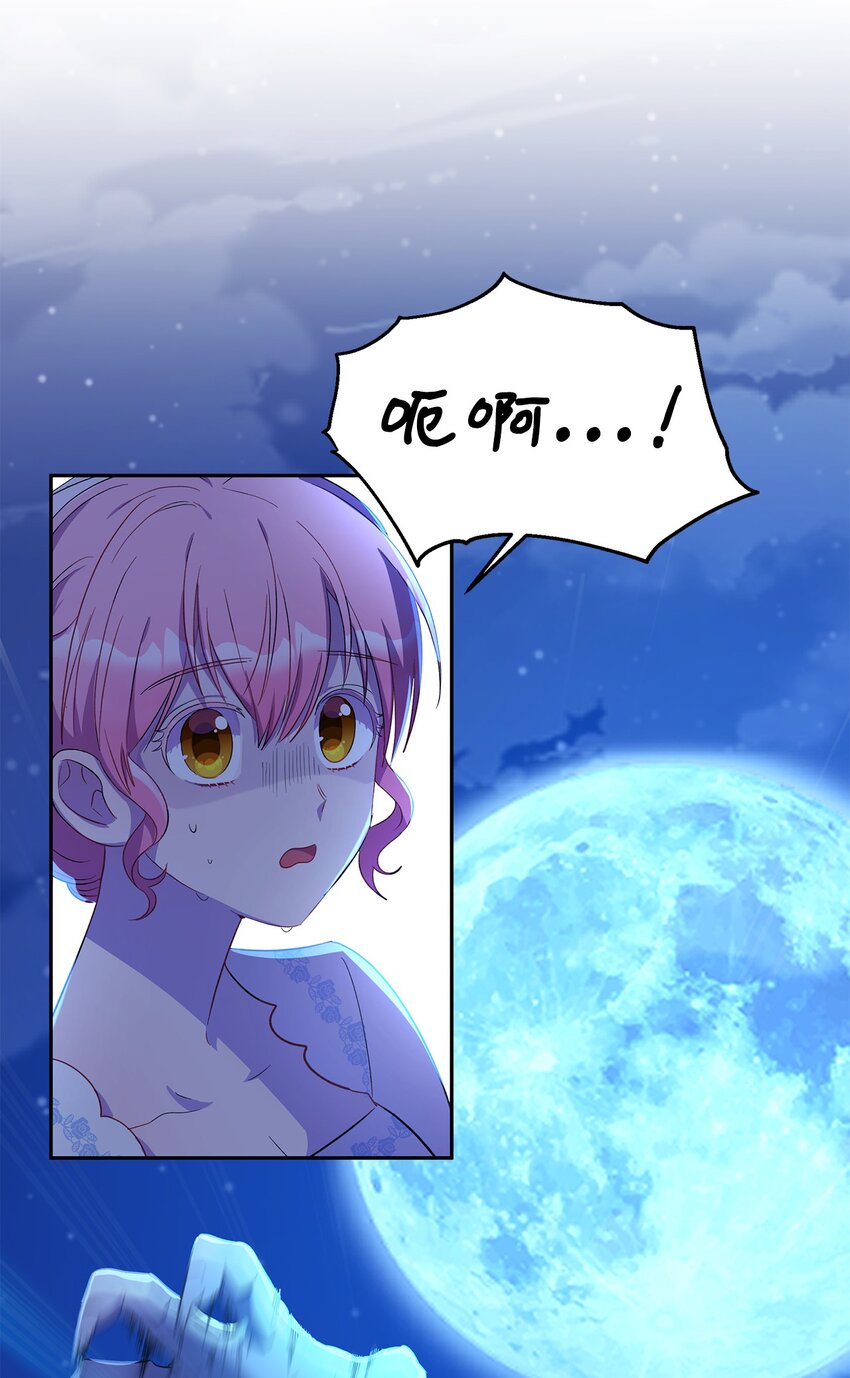 10 黑色鸢尾花40