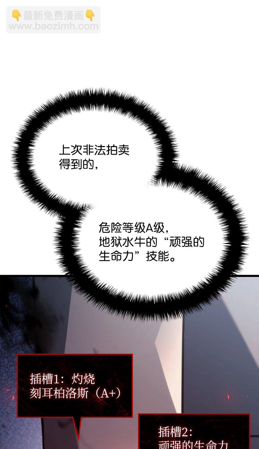 24 梅西马洛家族142