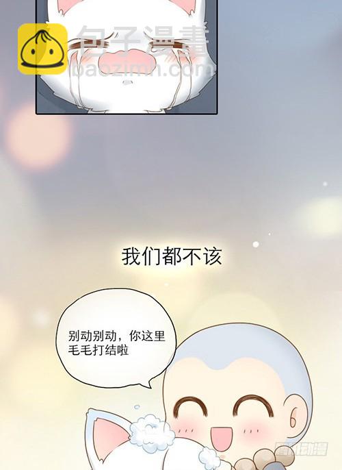 小狐狸的倒霉事17