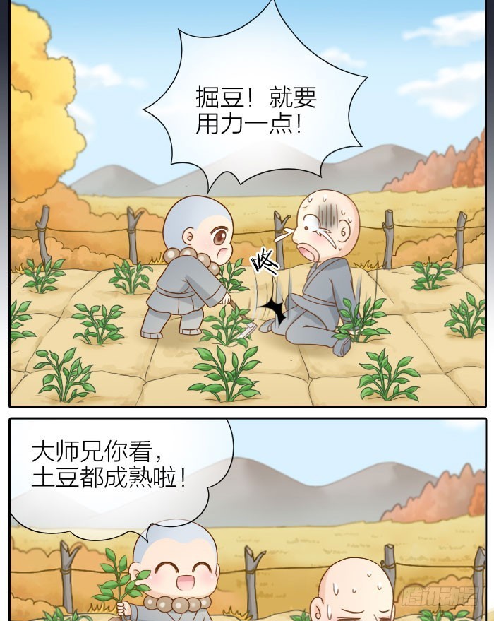 大师兄也喜欢小狐狸！12